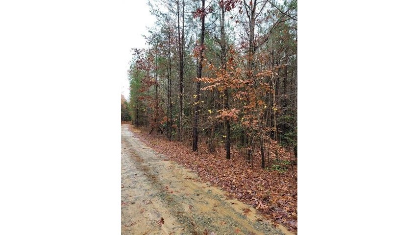0 County Line Rd  
