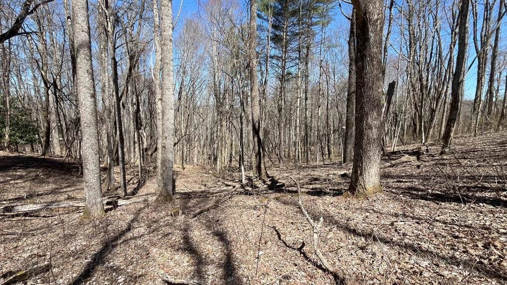 Lot 223 Dry Stack Way