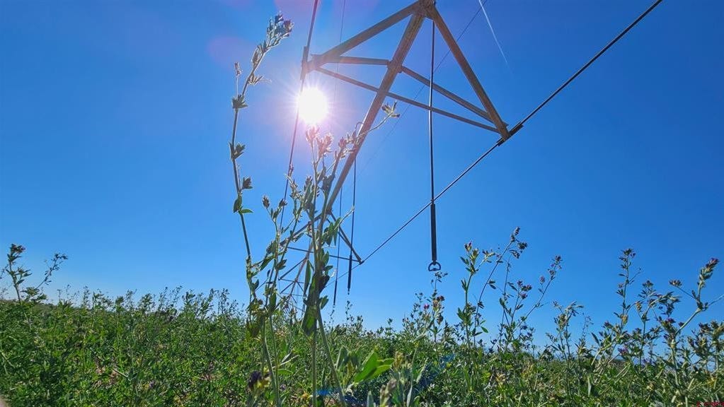 05299 County Road 12 S  