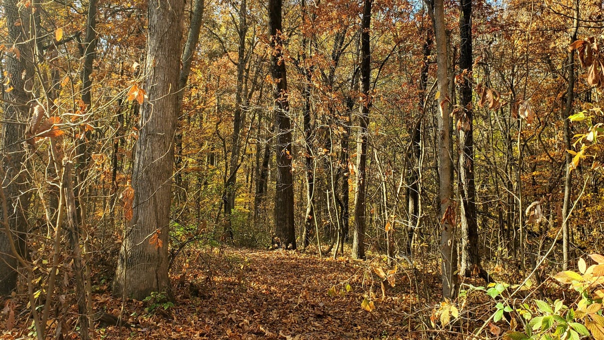 0 N State Road 157 At N Canyon L Ln  