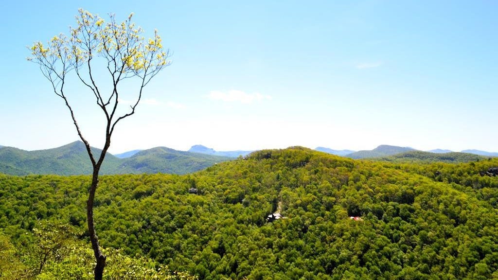 Lot 50 Continental Dr