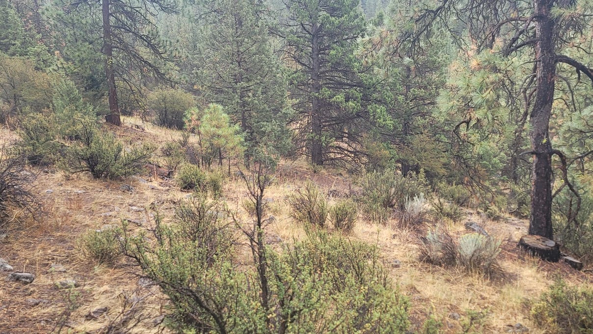 00 Buffalo Ln  
