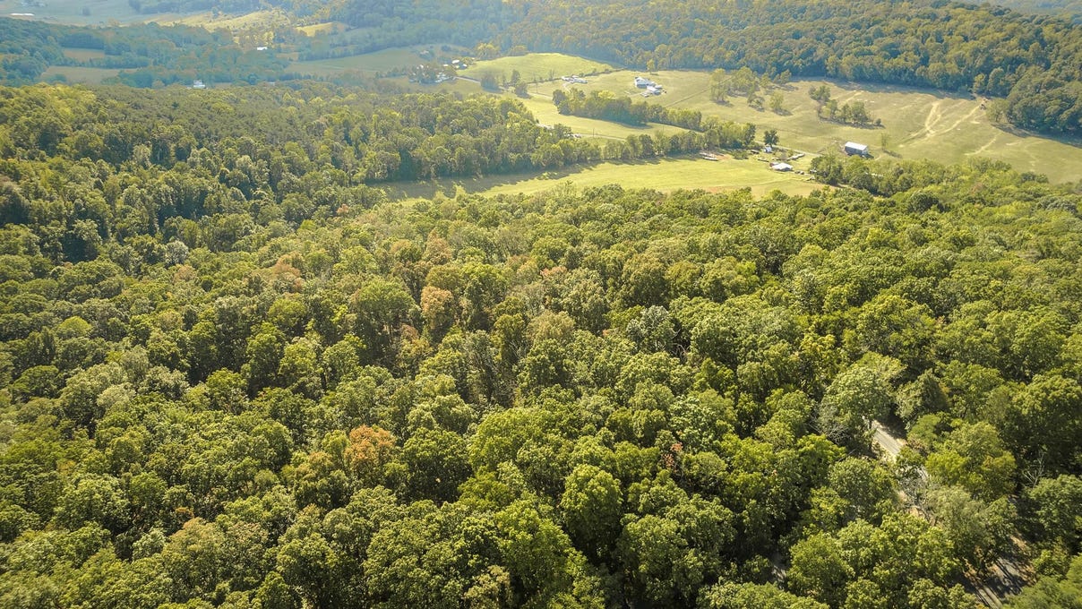 Lot 19 20 21 HILLTOP Ln