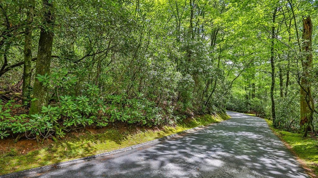 0 Mountain Laurel Rd  