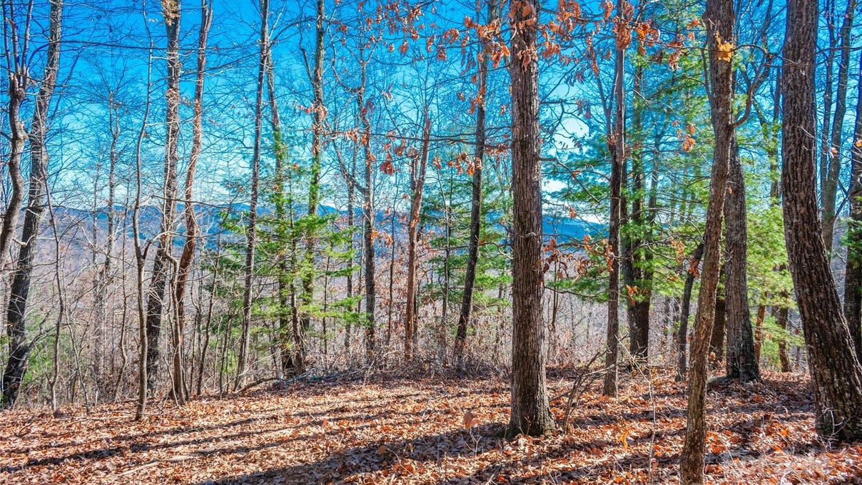 99999 Mount Olivet Rd  