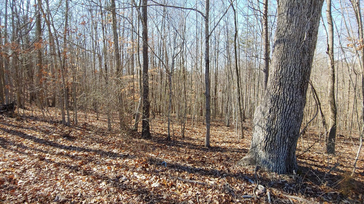 0 HORSESHOE BEND RD, Goodview, VA 24095 Land for Sale