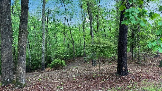 Lot 7 Brasstown Trails  