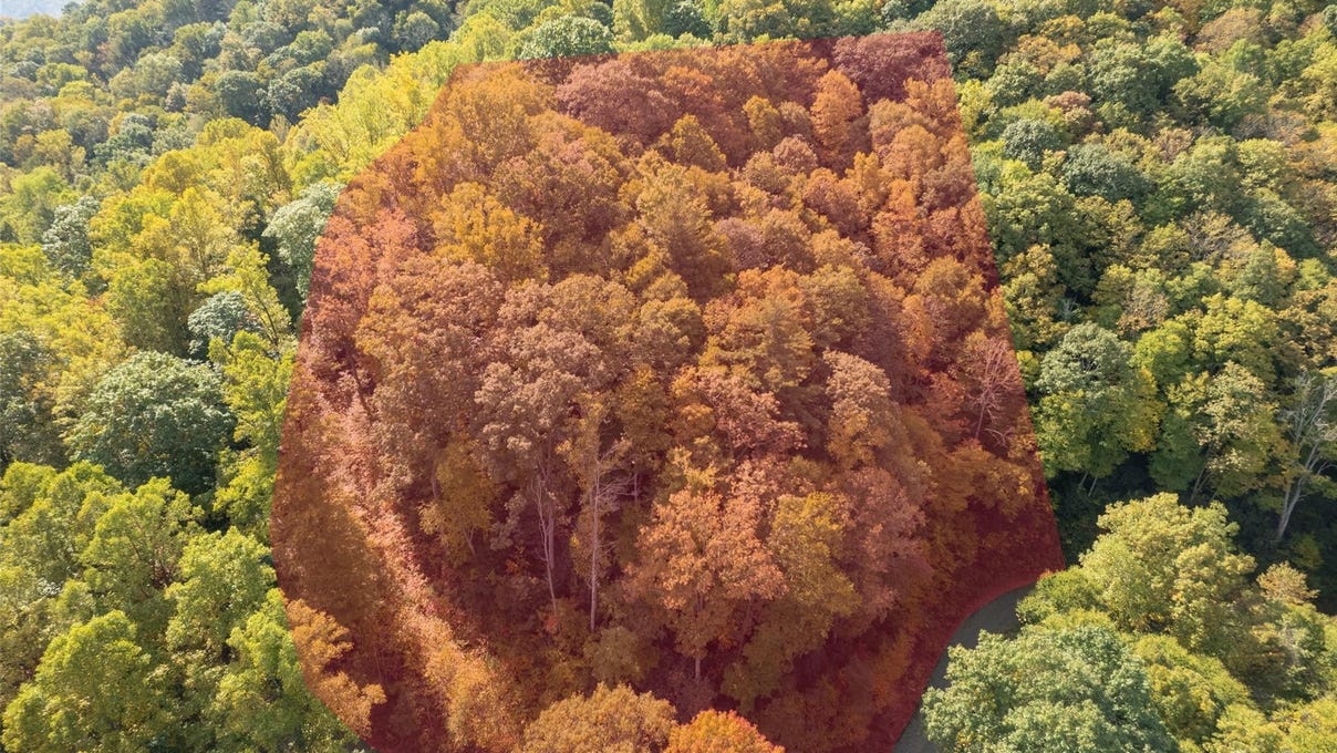 99999 Early Frost Pl  