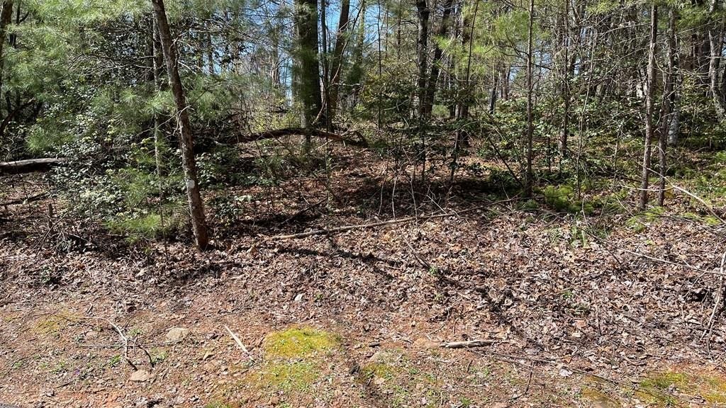 Lot 4E The Woodlands  