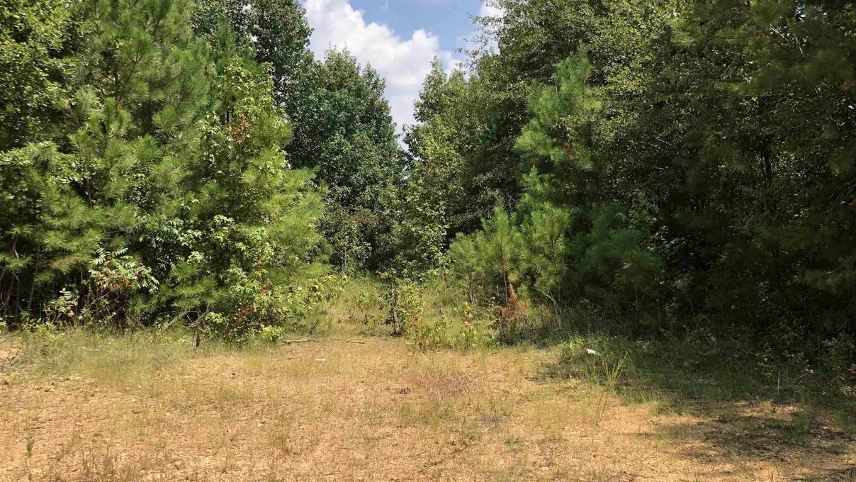 24 ACRES Leeth Gap Rd