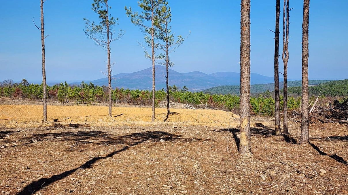 Tract 11 No Physical Address  