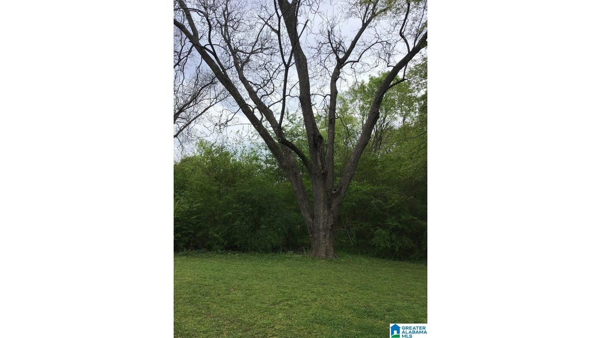 7558 COLONIAL Trce Cir