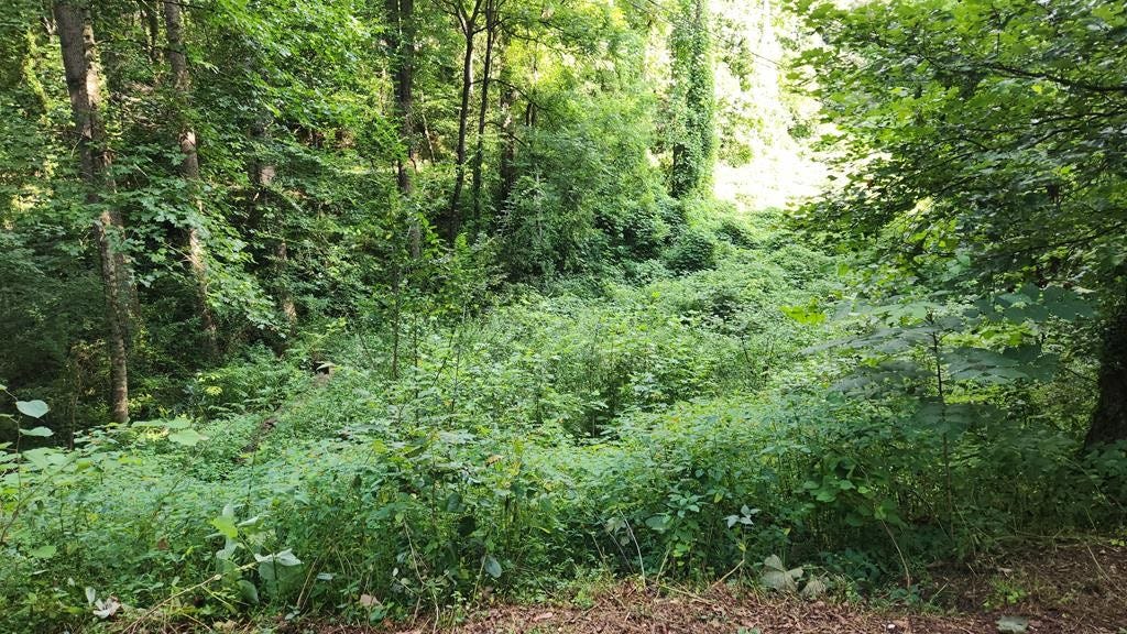 Lot S-16 Town Mtn Dr  