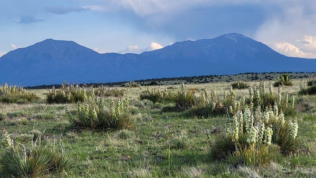 Lot 169 Rio Cucharas