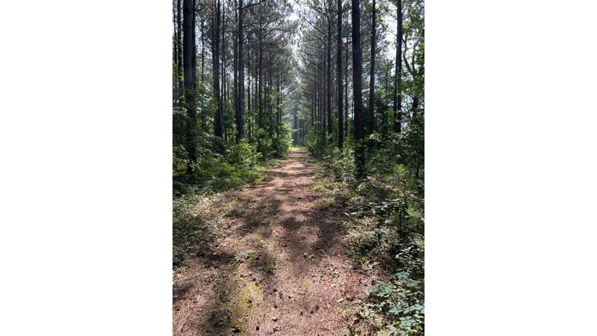 3882 Old Plain dealing Rd