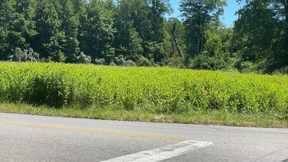 0 Old St Rt 32, Batavia, OH 45103 Land for Sale