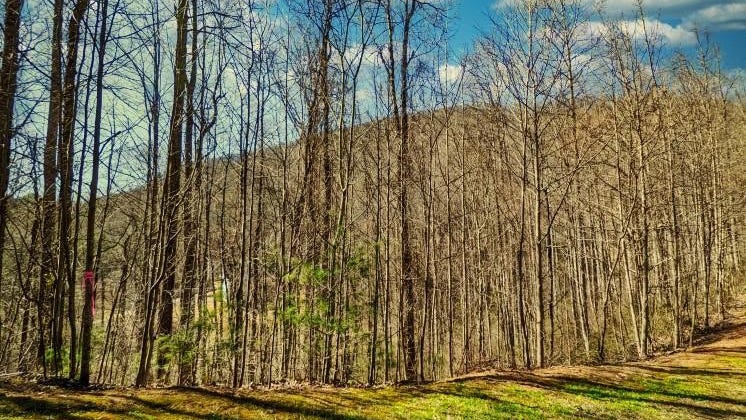 45 Ashewood Mountain Way