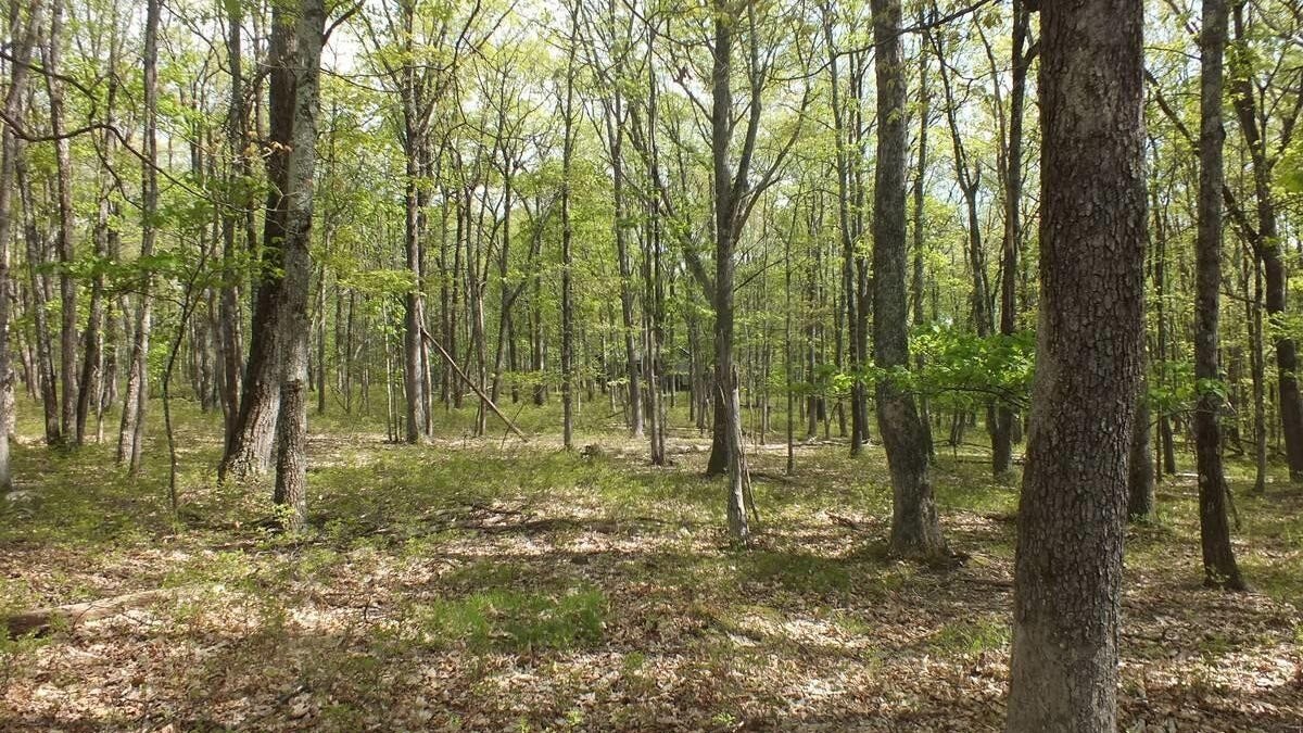 Lot 198 Rim Rock Cir  