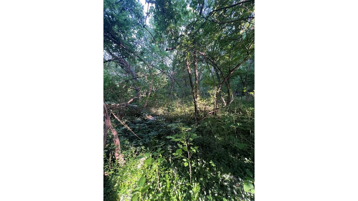 Main Street lot 9 and 10 block 115  