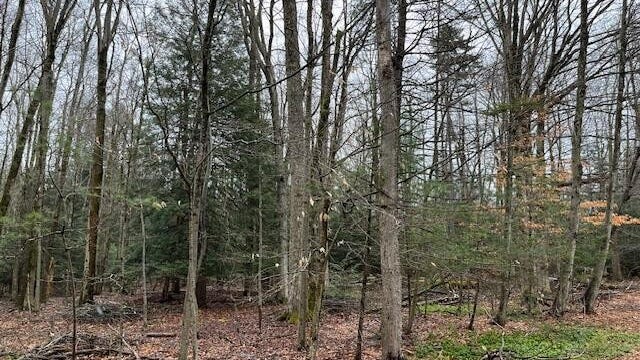 Lot 7 NAOMI Pl  