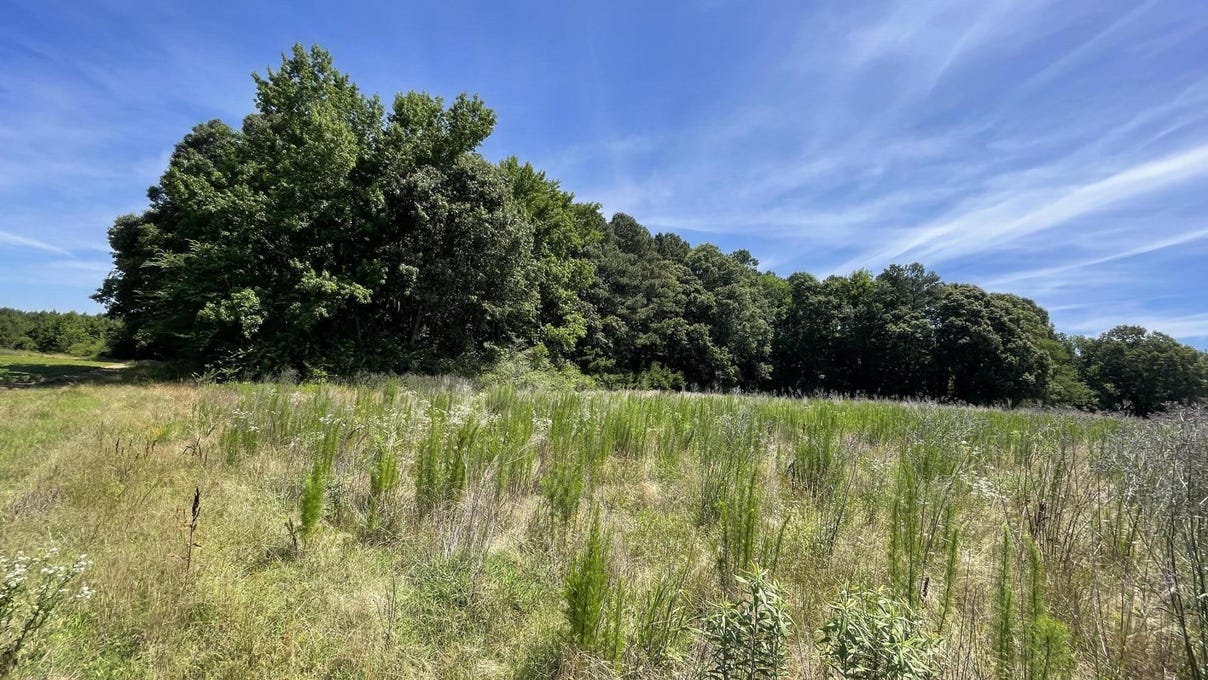 839 /845 Cooper Hl Rd  