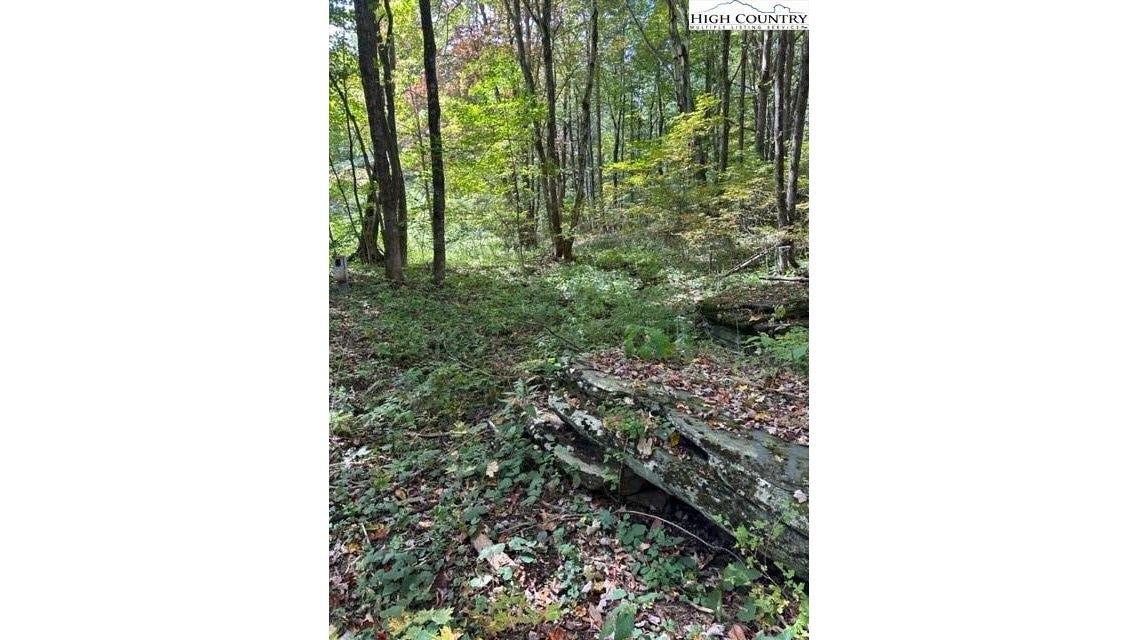 Lot 36 Beechwood Cir  