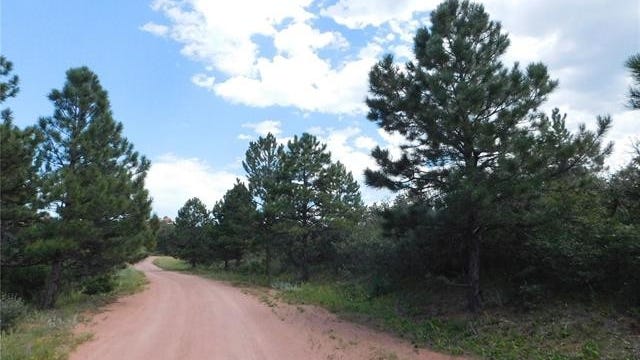 LOT 4 Thunderbird Rd  