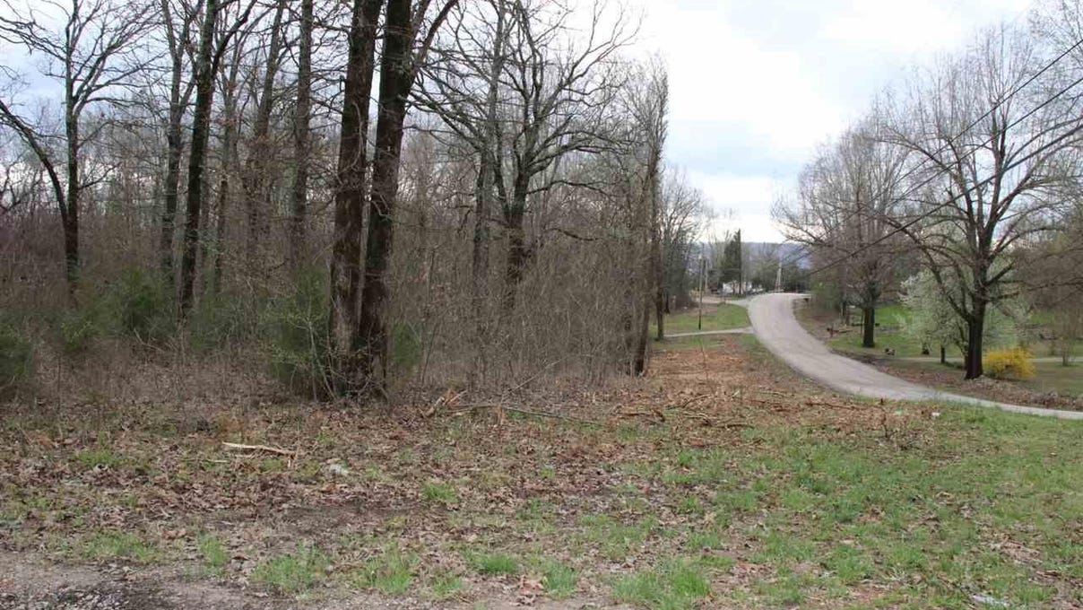 Lots 1 & 2 MC 7092, Flippin, AR 72634 Land for Sale