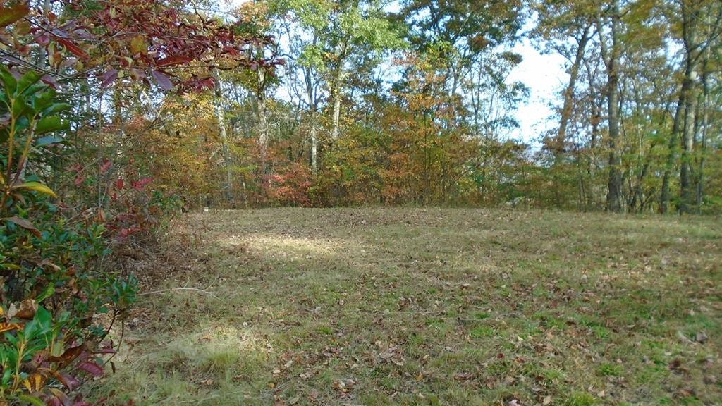 324 Little Bear Road Bryson City NC  