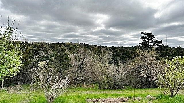 12595 S Methodist Rd