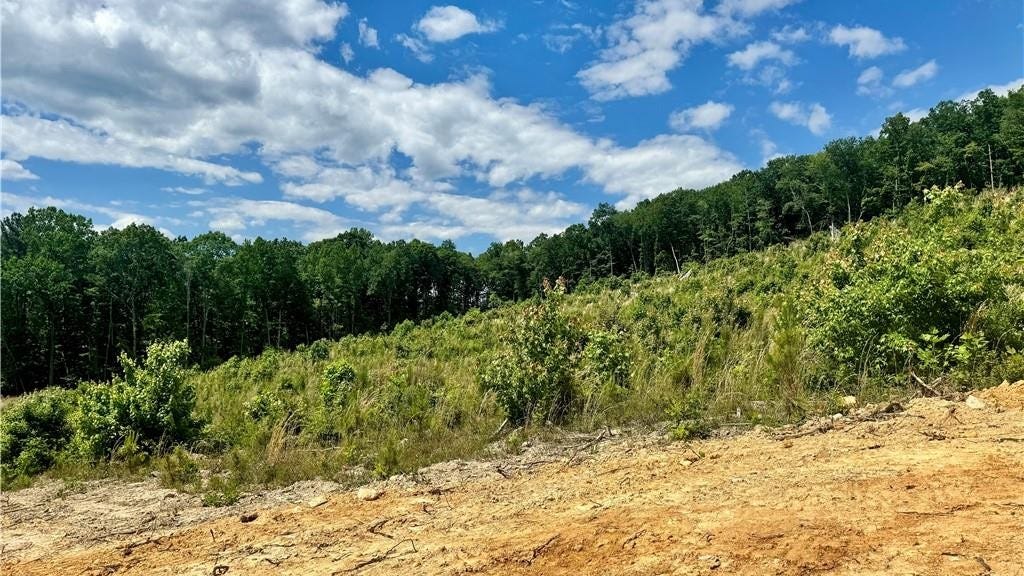 Tract 1 Browers Chapel Rd  