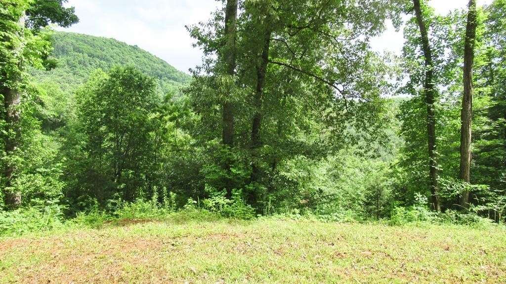 Lot 8 Berry Cv Rd  