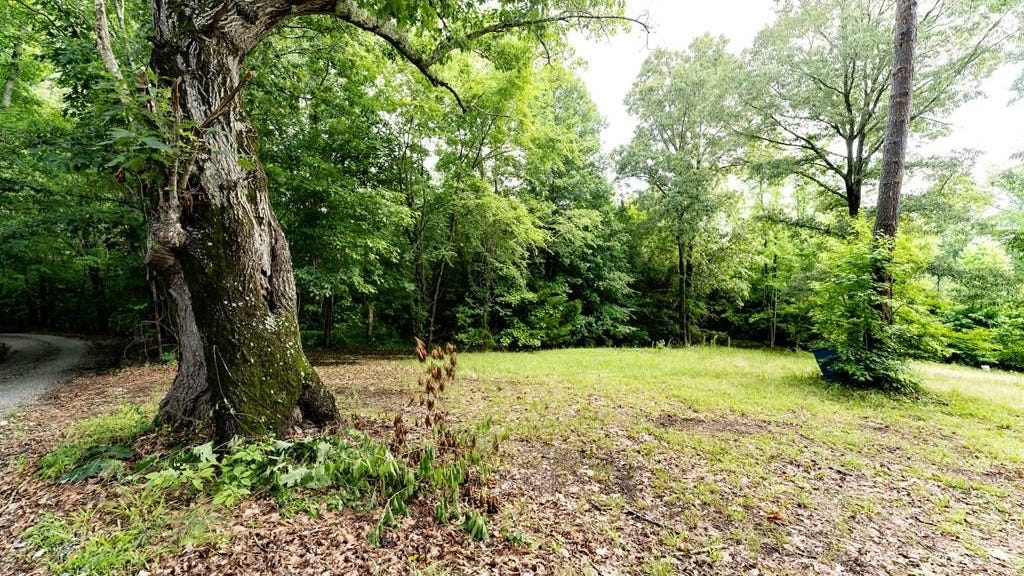 39 Holloway Ln Horton Dr  