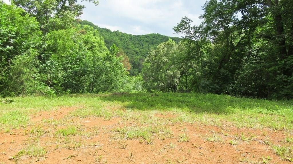 Lot 7 Berry Cv Rd  
