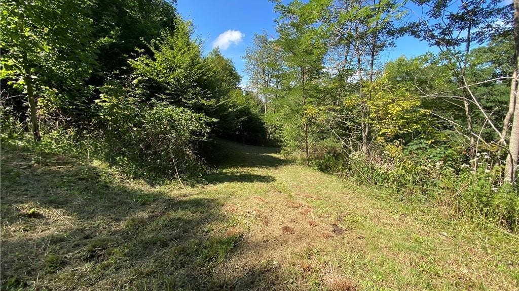 Lots 13 14 15 Junaluska Rd  