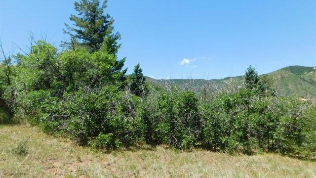 Lot 13 Perry Park Blvd  