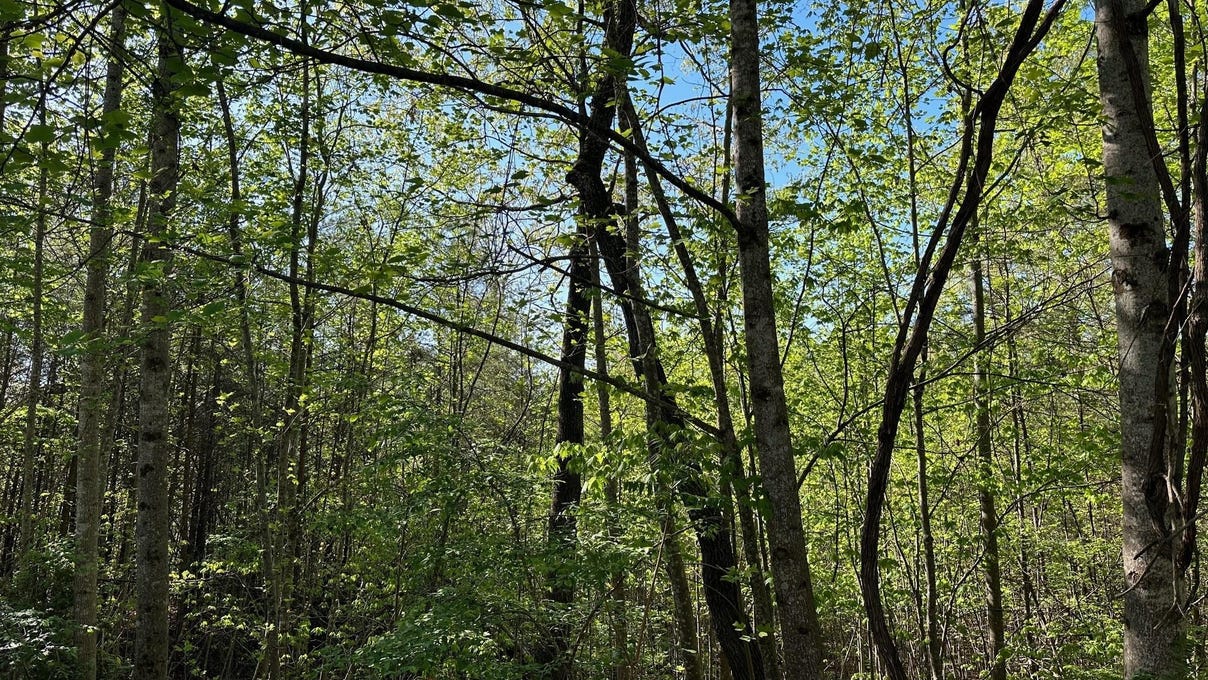 V/L Unit 11 Deer Xing Dr