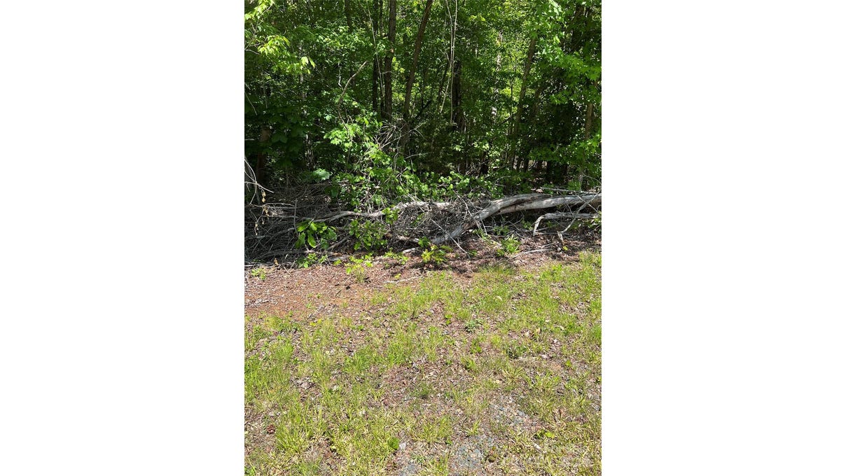 146 WOODLINE DR  