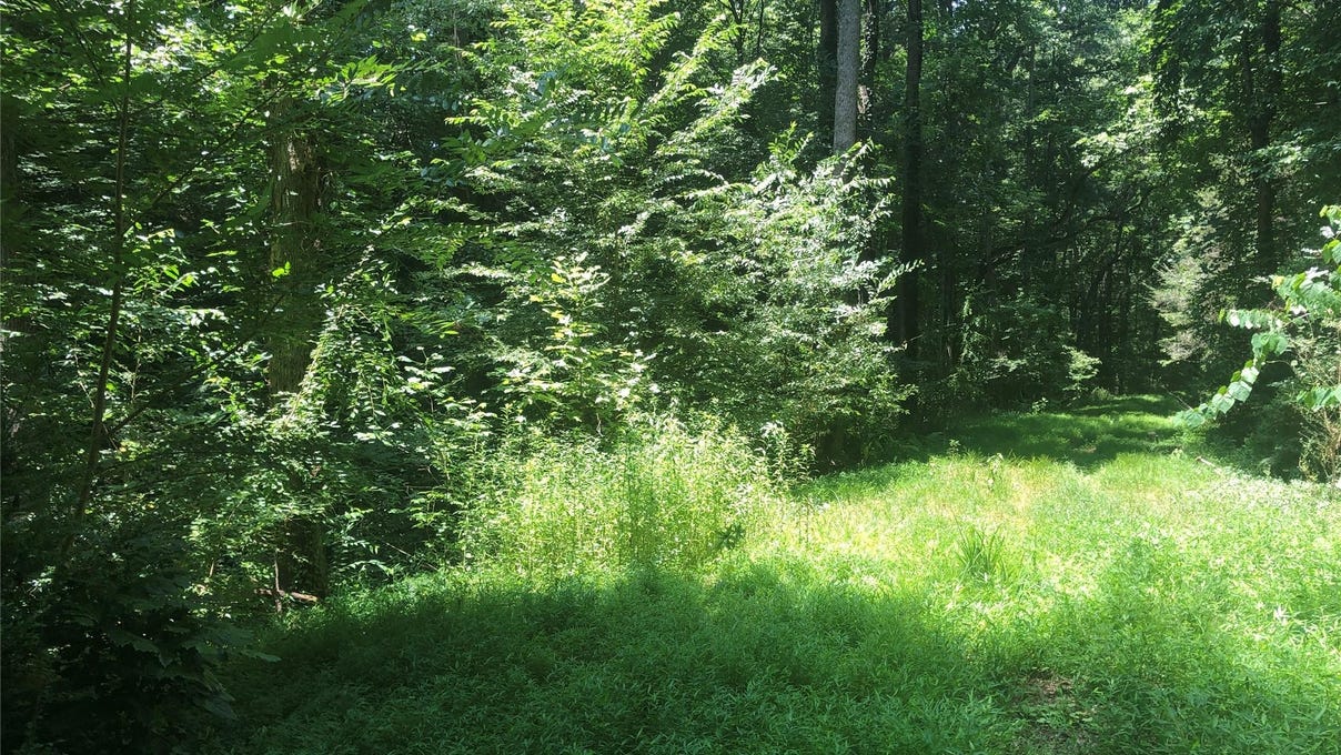 809 Bienvenue Ave NW  