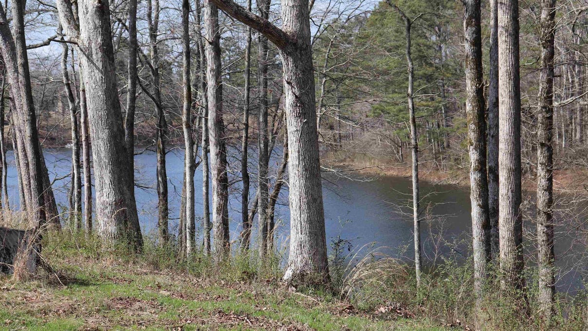 9 acres /- 0 Co Rd 1464  