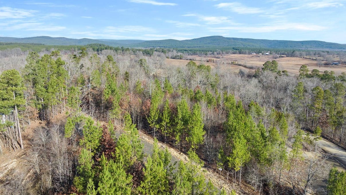 Tract 19 Red Bird Rdg