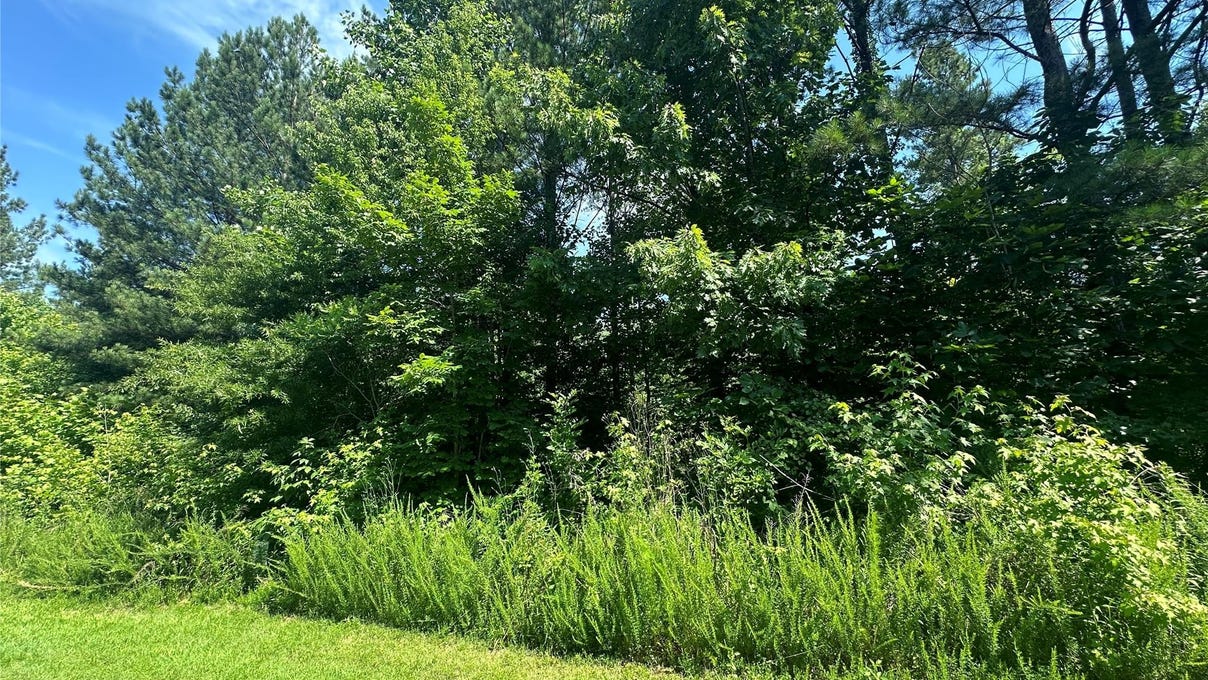 5135 Star Magnolia Ct  