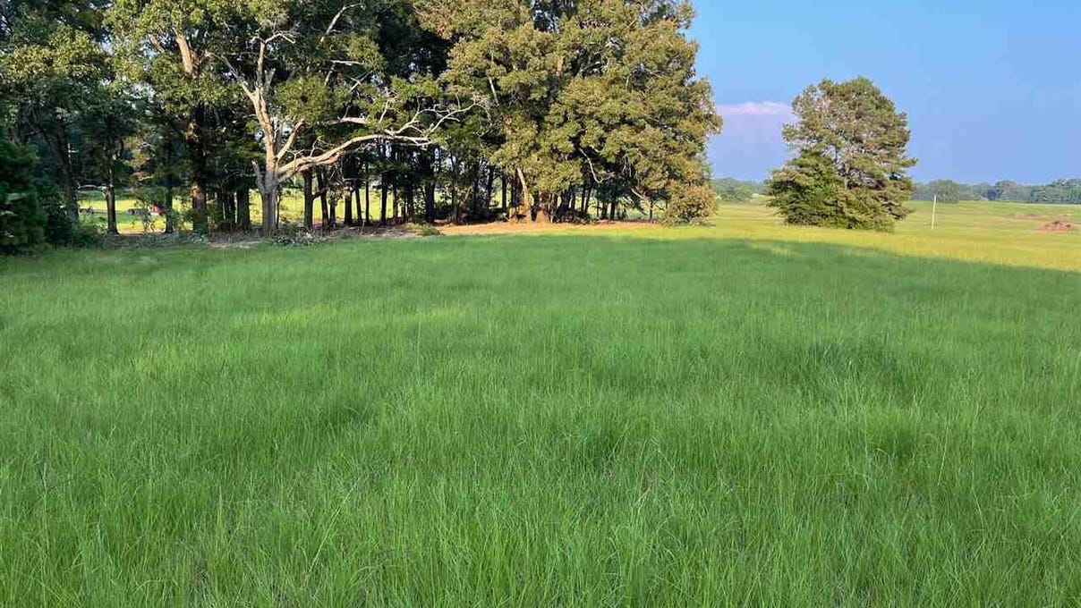 Old Hwy 16 Lot R20  