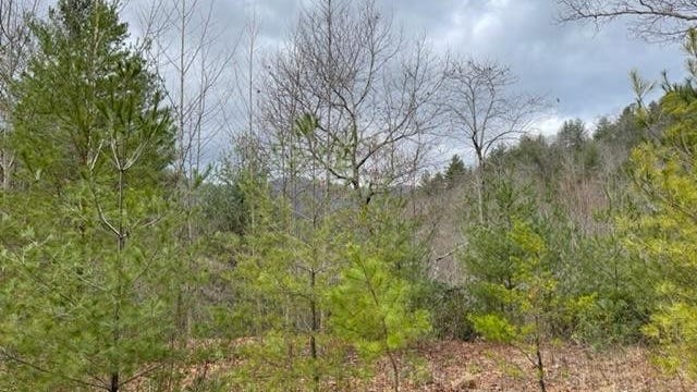 Tract 1 Lullwater Rnch Acres  