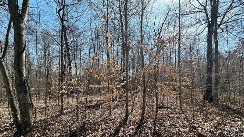 0 Middle Patton Park Rd  