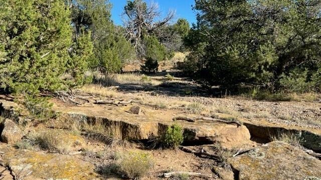 Lot 668 Rio Cucharas  