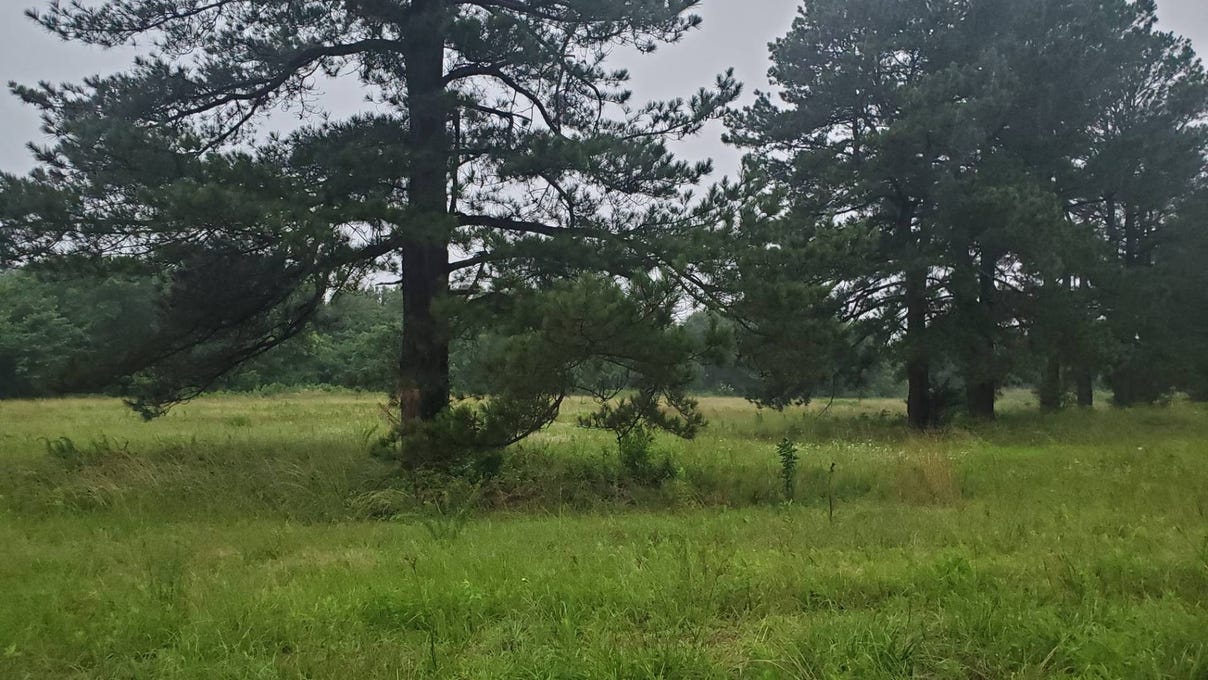 Lot 5 Little Grn Acres  