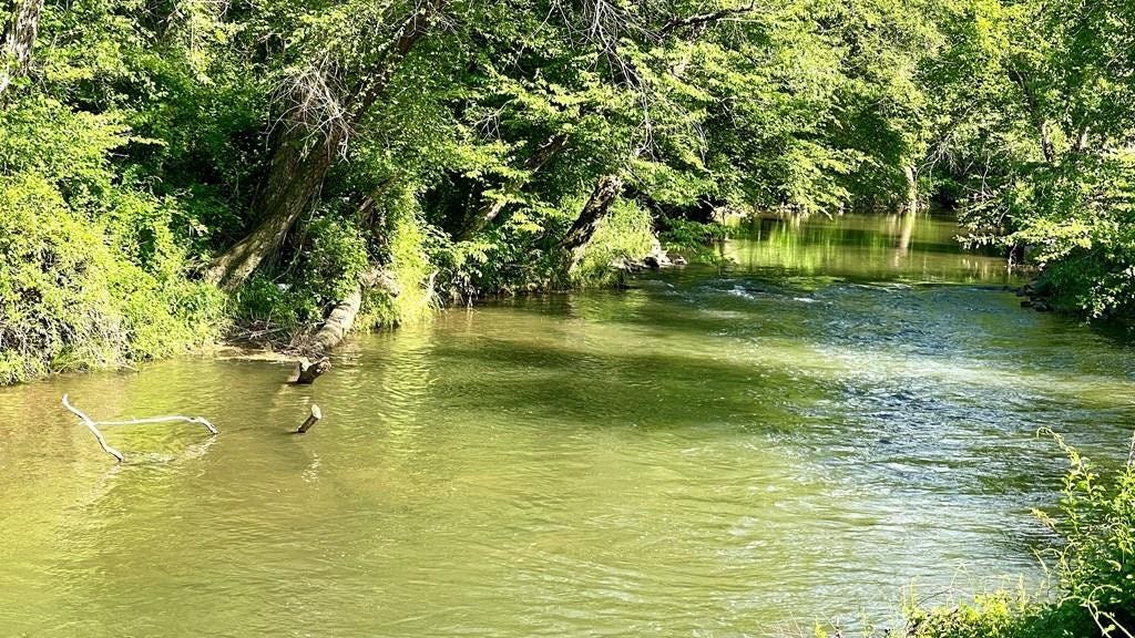 Lot 54 Brasstown Trl