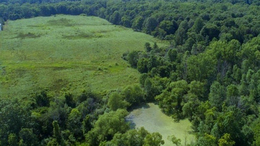 Vl 2 Of 19610 Rdg Rd