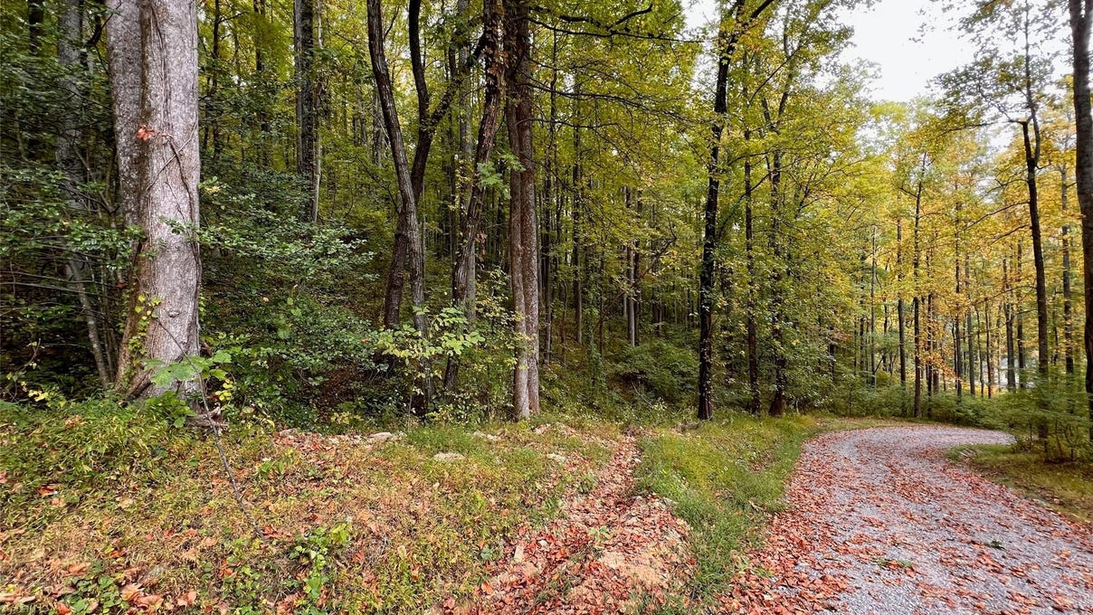 Lot 72 73 Rocky Br Trl